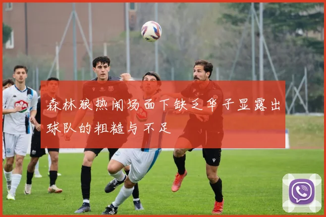 森林狼热闹场面下缺乏华子显露出球队的粗糙与不足
