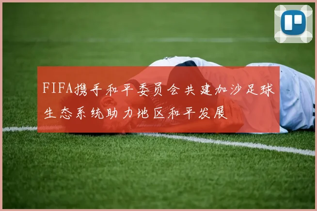 FIFA携手和平委员会共建加沙足球生态系统助力地区和平发展