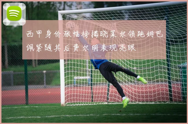 西甲身价涨幅榜揭晓莱尔领跑姆巴佩紧随其后费尔明表现亮眼