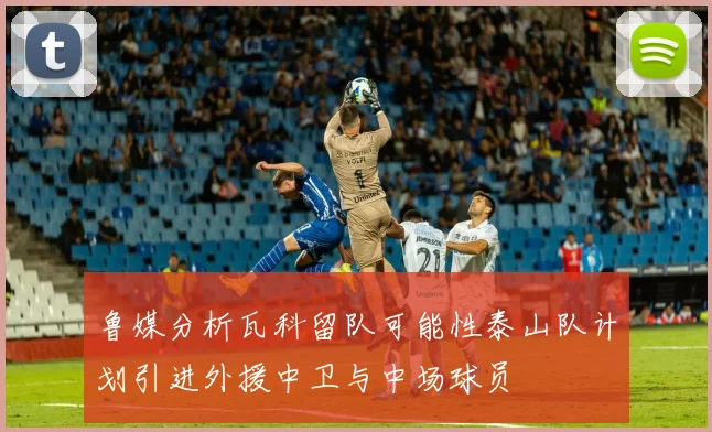 鲁媒分析瓦科留队可能性泰山队计划引进外援中卫与中场球员